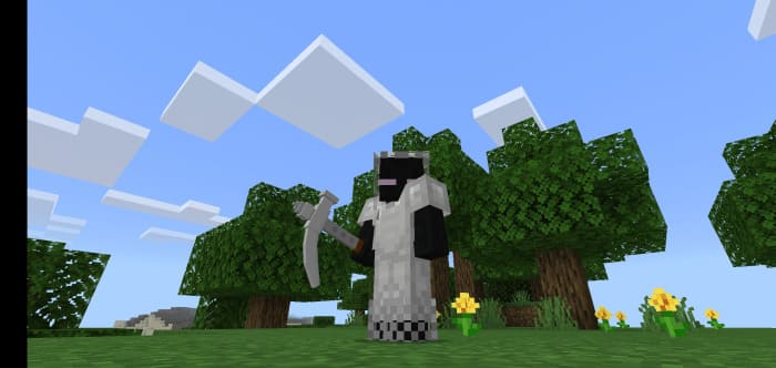 3D Braid in Minecraft PE