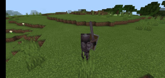 Long 3D Sword in Minecraft PE
