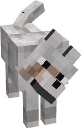Wolf Animation in Minecraft PE (Bedrock)