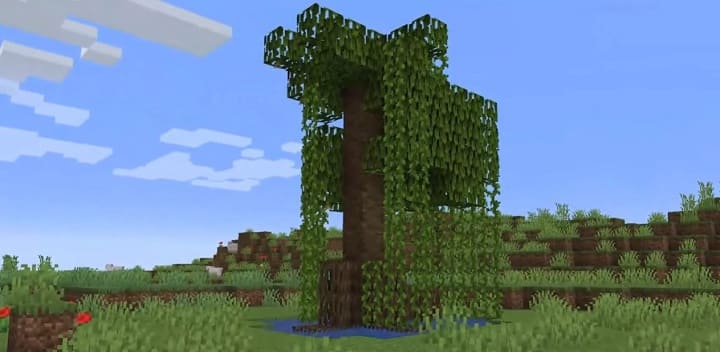 Mangrove Tree in Minecraft PE (Bedrock) 1.19