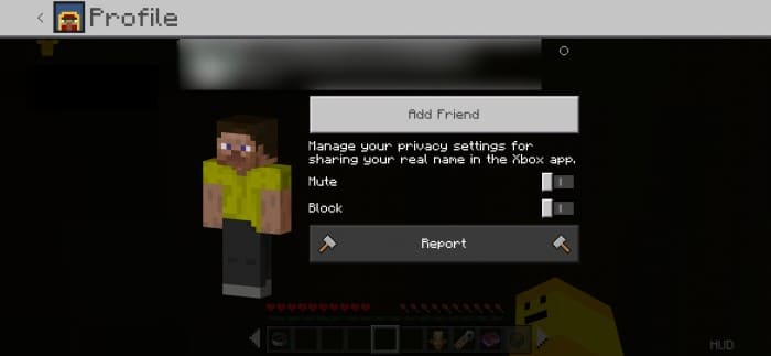 Playing online in Minecraft PE (Bedrock)