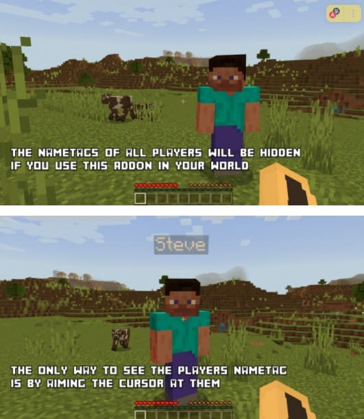 How to see nickname in Minecraft PE (Bedrock)