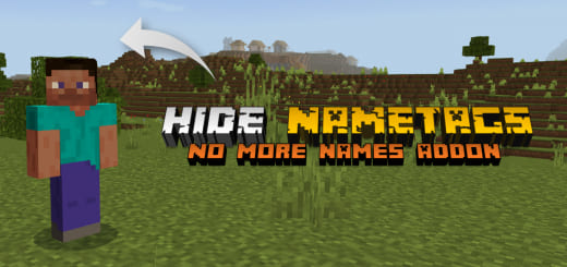 Addon: Name Hiding [1.20 1.18+] Minecraft PE / Bedrock [xfgiven_vers]