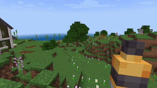 Whiskey in Minecraft PE (Bedrock)