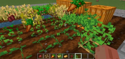 Addon: Harvesting [1.21+] Minecraft PE / Bedrock [xfgiven_vers]