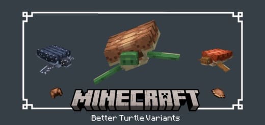 Resourcespac: Turtle Variants [1.19+] Minecraft PE / Bedrock [xfgiven_vers]