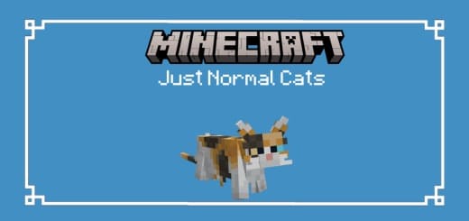 Textures: 3D Cats [1.19+] Minecraft PE / Bedrock [xfgiven_vers]