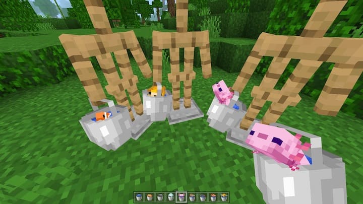 3Д ведра в Майнкрафт ПЕ (Бедрок)