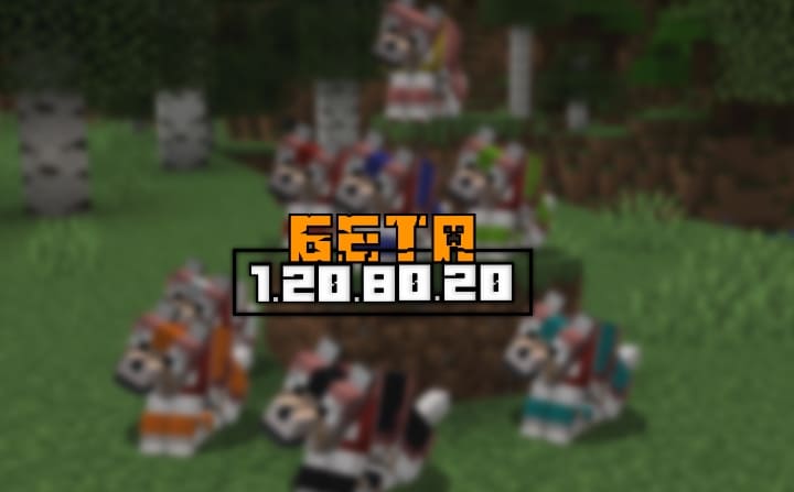 Minecraft PE (Bedrock) 1.20.80.20 - Beta/Preview Minecraft PE / Bedrock [xfgiven_vers]