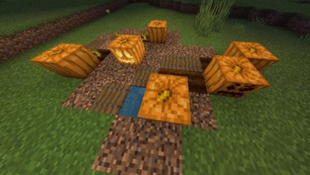 Новые Тыквы в Майнкрафт ПЕ