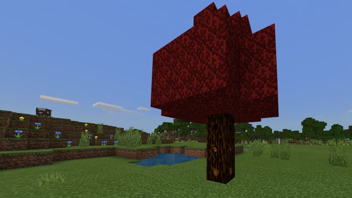 Maple in Minecraft PE (Bedrock)