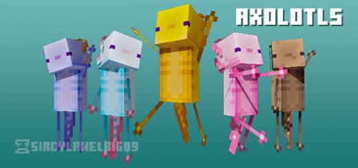 Skins: Axolotl [1.17+] Minecraft PE / Bedrock [xfgiven_vers]