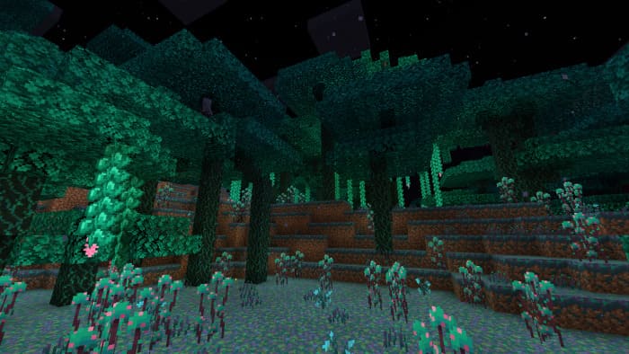 Biome Forest of Fog in Minecraft PE (Bedrock)