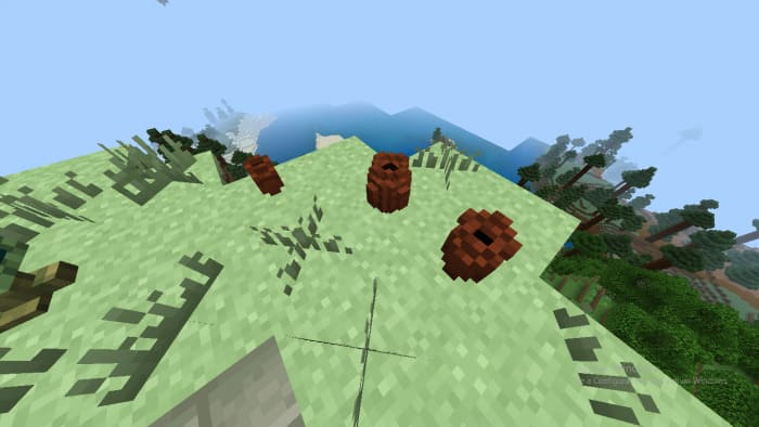 Pots in Minecraft PE (Bedrock)