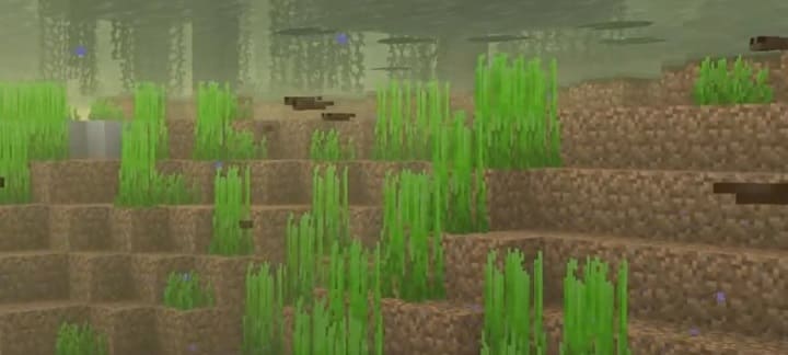 Tadpoles in Minecraft PE (Bedrock) 1.19