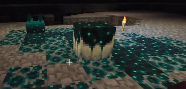 Soul Collector in Minecraft PE (Bedrock) 1.19