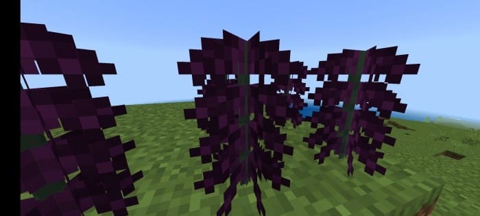 New bushes in Minecraft PE (Bedrock)