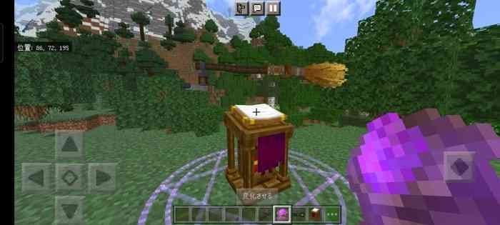 Improving the broom in Minecraft PE (Bedrock)