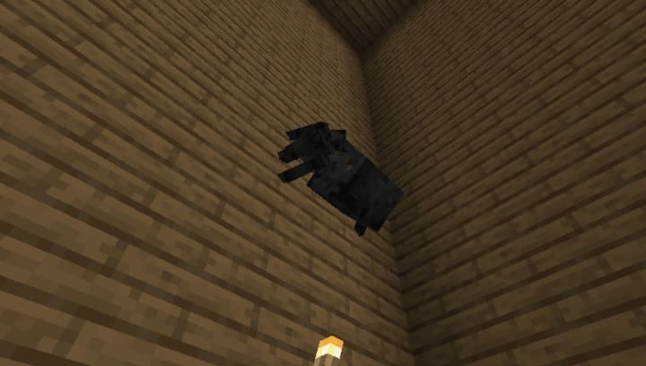 Паук залазит на блок в Майнкрафт ПЕ (Бедрок)