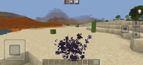 Disappear in Minecraft PE (Bedrock)