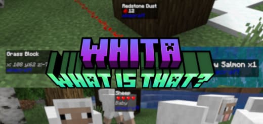 Mod: What's that? [1.21+] Minecraft PE / Bedrock [xfgiven_vers]