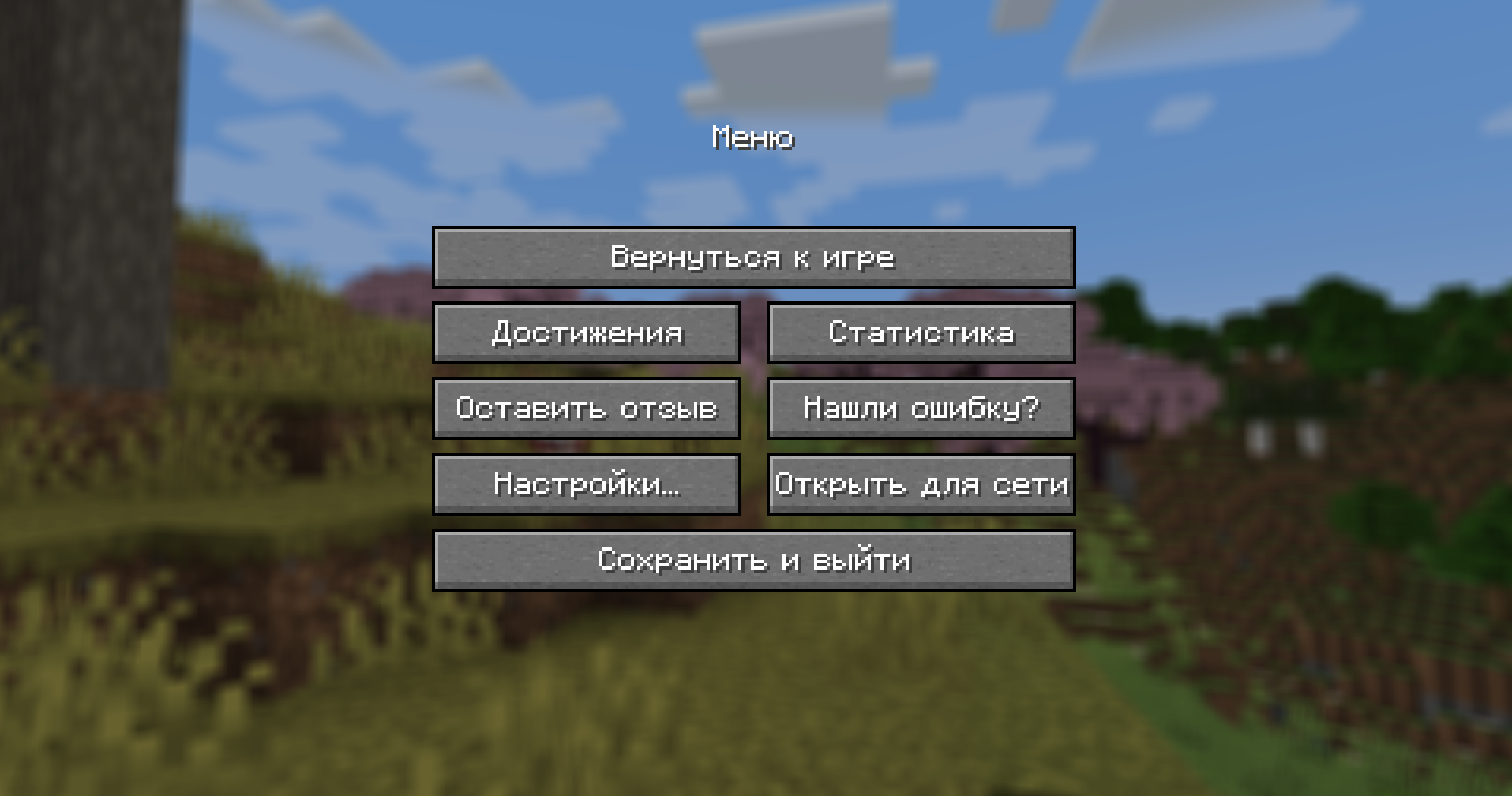 Скриншот 12 Minecraft 1.20.5