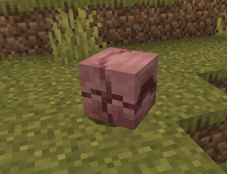 Скриншот 3 Minecraft 1.20.5
