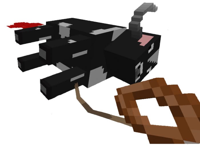 Killed Animal in Minecraft PE (Bedrock)