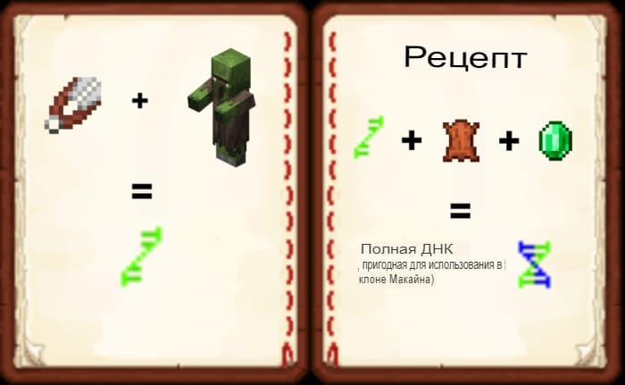 Сбор ДНК в Майнкрафт ПЕ (Бедрок)