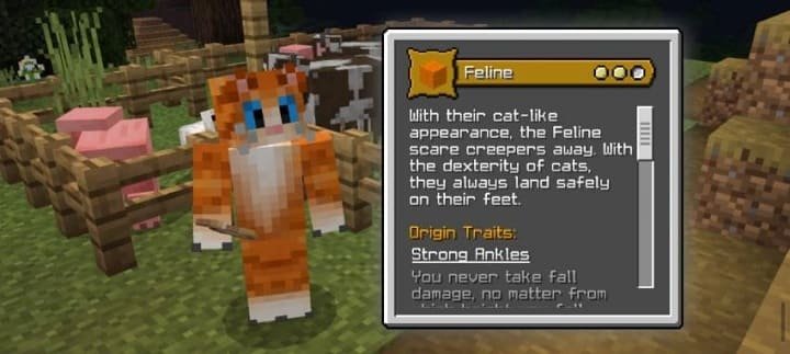 Происхождение Кошачий из мода Классы персонажа для Майнкрафт ПЕ (Бедрок)