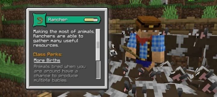 Характеристика Ранчовладелец из мода Классы персонажа для Майнкрафт ПЕ (Бедрок)
