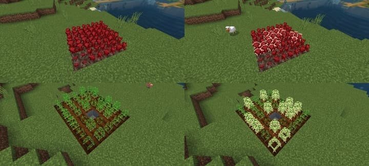 Выделяющиеся выросшие растения с текстурами Выросшие культуры для Майнкрафт ПЕ (Бедрок)