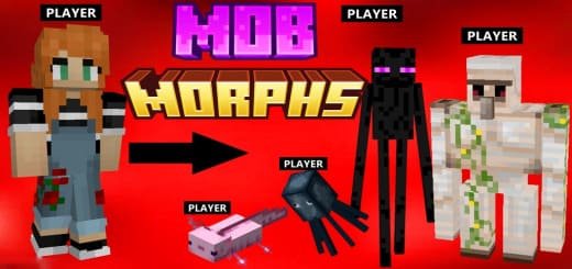 Mod: Tools to turn into mobs [1.20; 1.21+] Minecraft PE / Bedrock [xfgiven_vers]