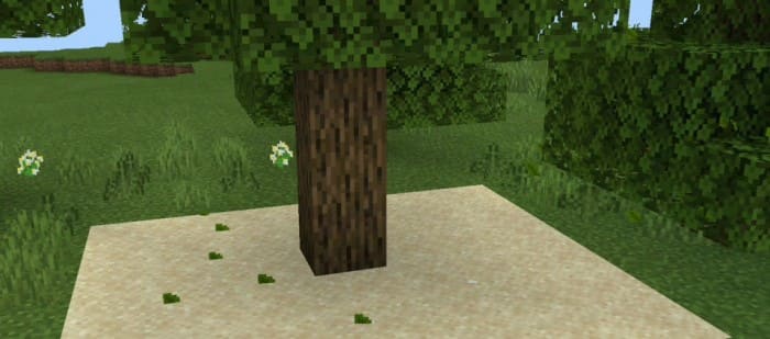 Falls leaves from trees in Minecraft PE (Bedrock)