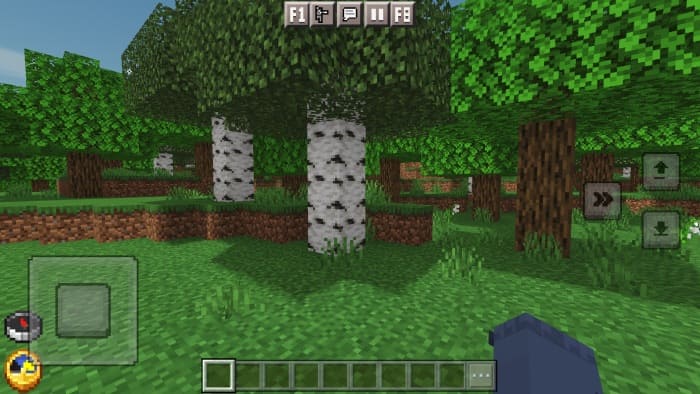 New buttons in Minecraft PE (Bedrock)