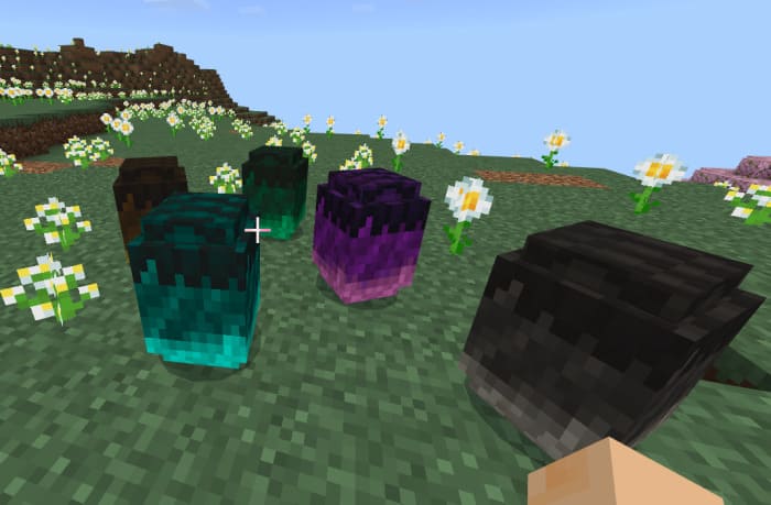 Яйца виверны в Майнкрафт ПЕ (Бедрок)