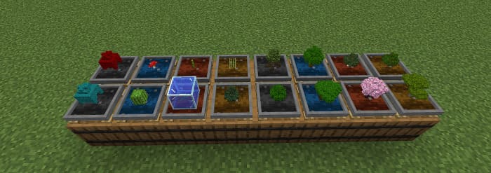 Бонсай в Майнкрафт ПЕ (Бедрок)