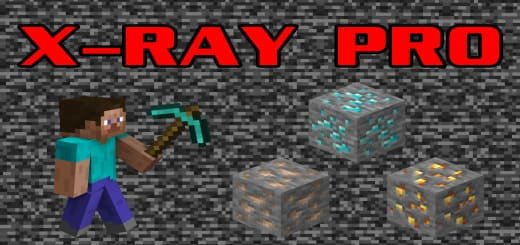 Textures: Professional X-ray [1.21+] Minecraft PE / Bedrock [xfgiven_vers]