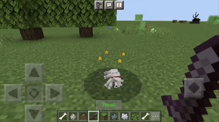 Мертвый волк в Майнкрафт ПЕ (Бедрок)