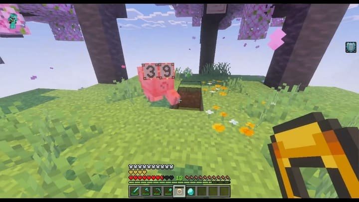 Measuring Life Energy in the Minecraft PE (Bedrock) mod