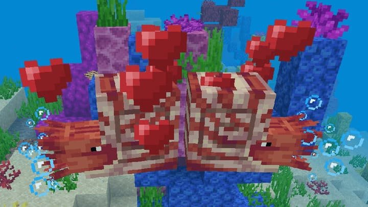 Разведение Наутилусов в Minecraft PE (Bedrock)