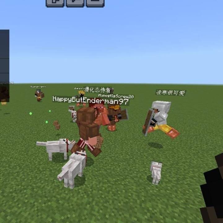 Group of offline players in Minecraft PE (Bedrock)