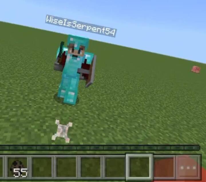 Offline player acting as a defender in Minecraft PE (Bedrock)