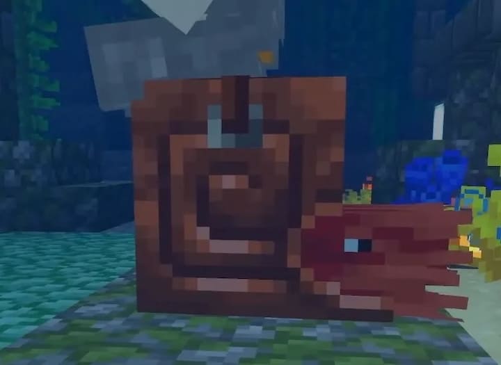 Nautiluses in Minecraft